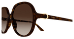 HAVANA / BROWN