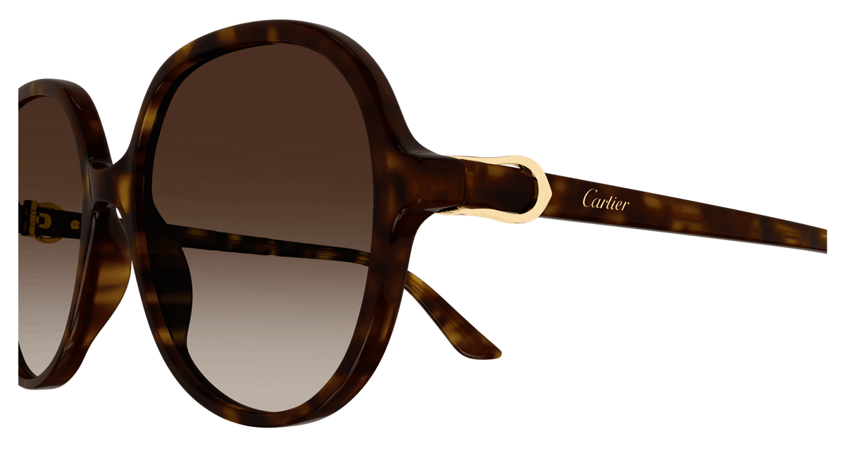 HAVANA / BROWN
