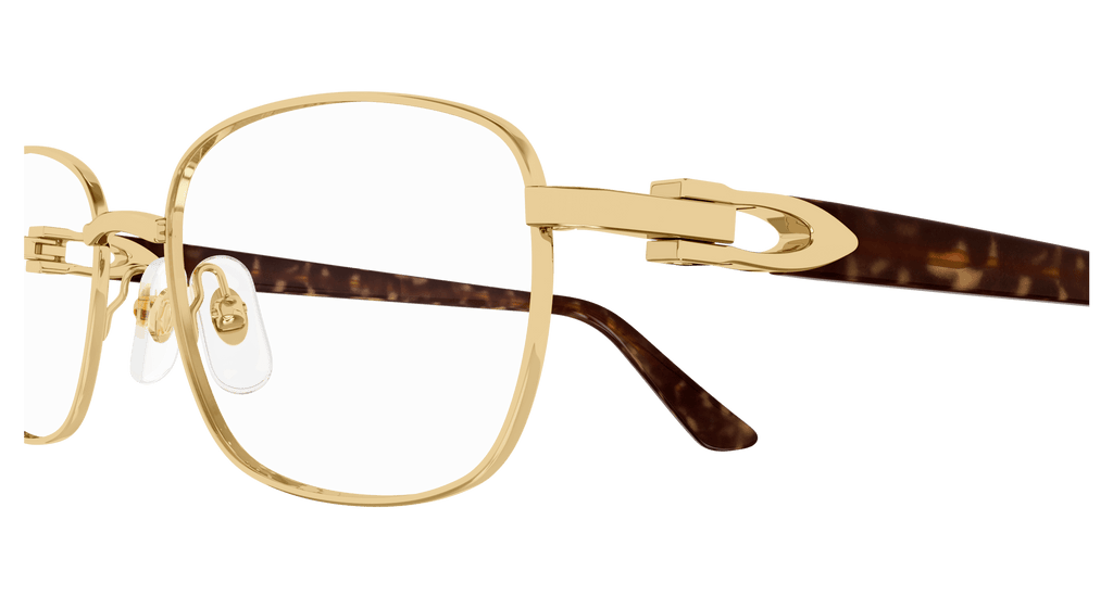 GOLD / HAVANA / TRANSPARENT