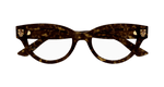 HAVANA / TRANSPARENT