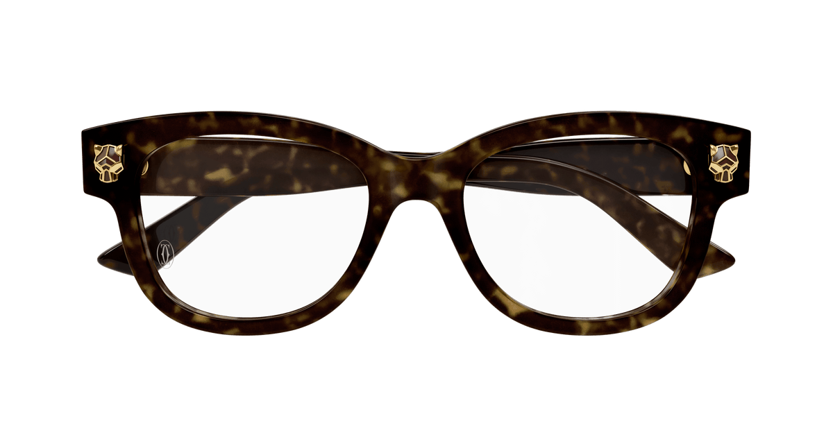 HAVANA / TRANSPARENT