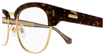 HAVANA / TRANSPARENT