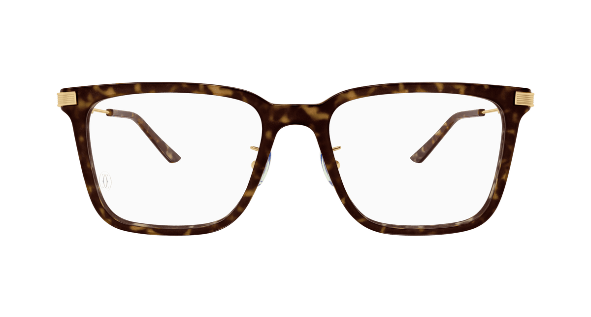 HAVANA / GOLD / TRANSPARENT