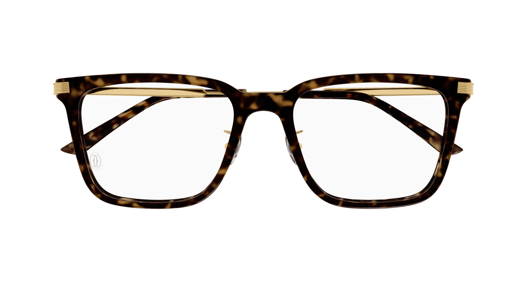 HAVANA / GOLD / TRANSPARENT
