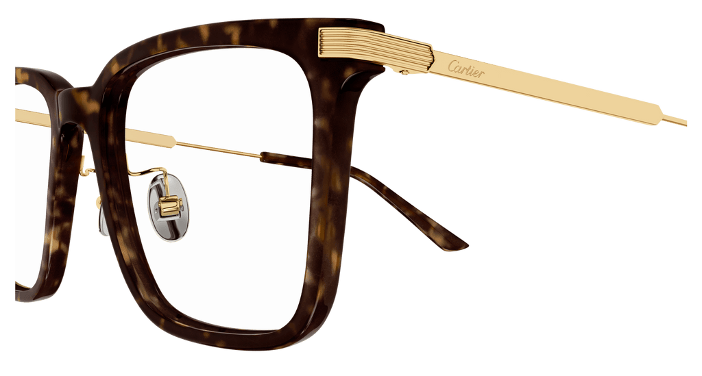 HAVANA / GOLD / TRANSPARENT