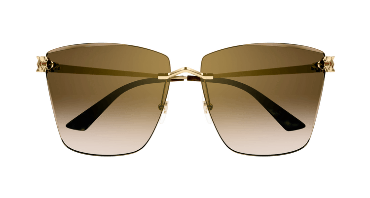GOLD / BROWN