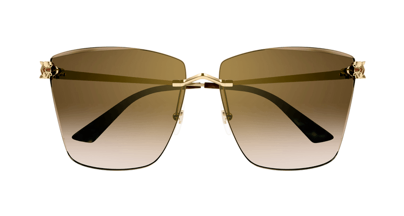 GOLD / BROWN