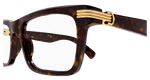 HAVANA / TRANSPARENT
