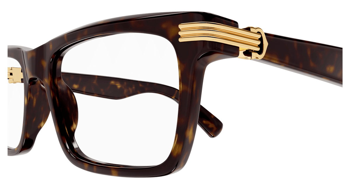 HAVANA / TRANSPARENT
