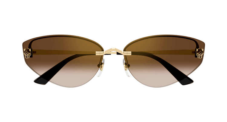 GOLD / BROWN