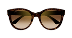 HAVANA / BROWN