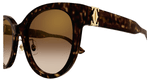 HAVANA / BROWN