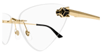 GOLD / TRANSPARENT