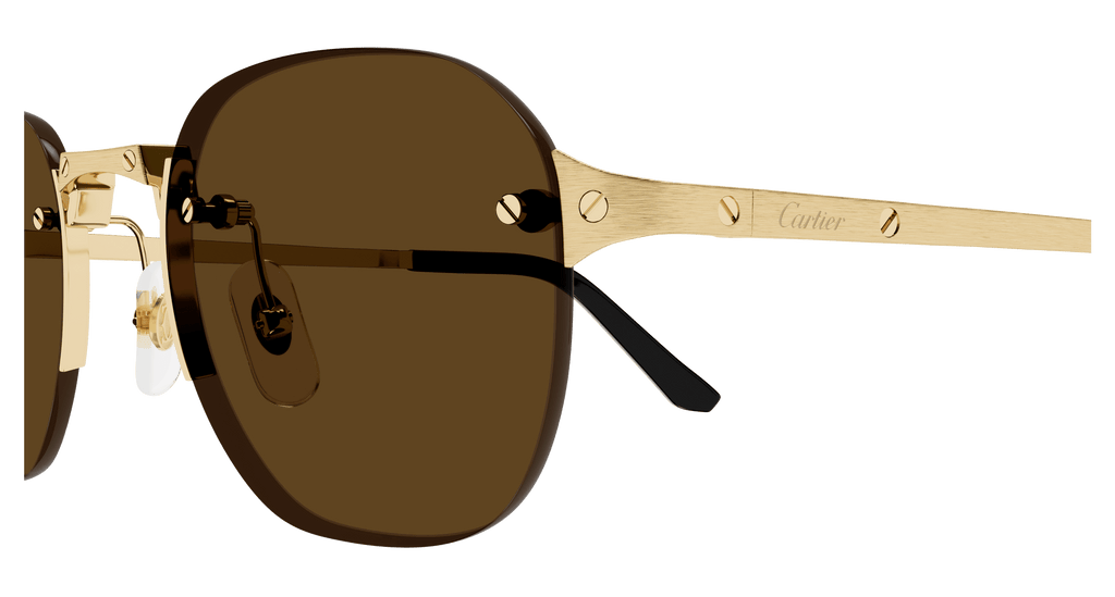 GOLD / BROWN