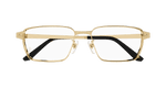 GOLD / TRANSPARENT