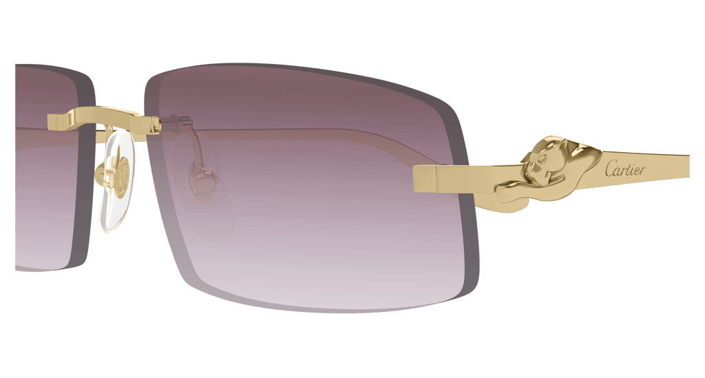 GOLD / VIOLET