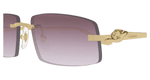 GOLD / VIOLET