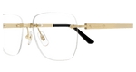 GOLD / TRANSPARENT