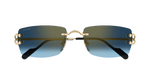 GOLD / BLUE