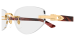 GOLD / RED / TRANSPARENT