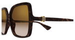 HAVANA / BROWN
