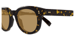 HAVANA / BROWN
