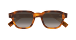 HAVANA / BROWN