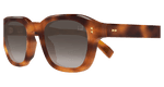HAVANA / BROWN