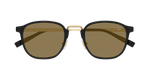 BLACK / GOLD / BROWN