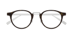 HAVANA / SILVER / TRANSPARENT