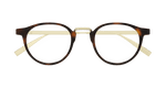 HAVANA / GOLD / TRANSPARENT