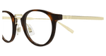 HAVANA / GOLD / TRANSPARENT