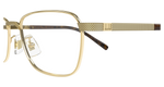 GOLD / TRANSPARENT