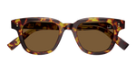 HAVANA / BROWN