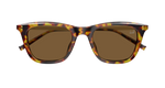 HAVANA / GOLD / BROWN