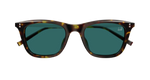 HAVANA / SILVER / GREEN