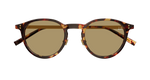 HAVANA / GOLD / BROWN