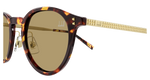 HAVANA / GOLD / BROWN