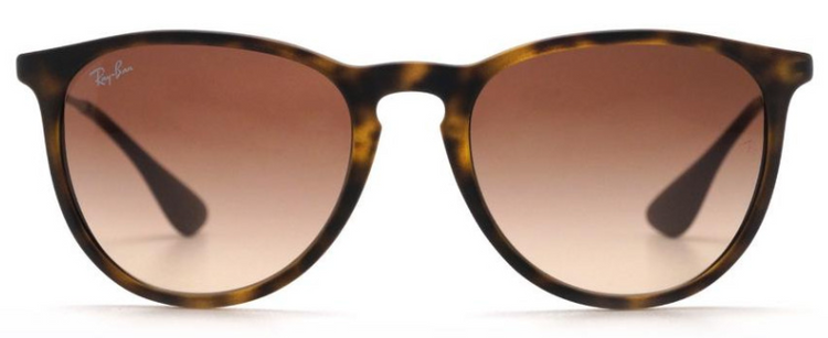 Ray-Ban RB4171 865/13 Round Sunglasses