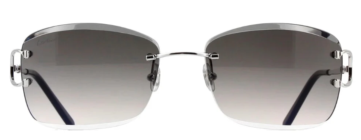 Cartier CT0010RS 001 Rectangle Sunglasses