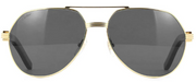 Cartier CT0272S 001 Buffalo Polarized Sunglasses