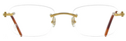 Cartier CT0050O 001 Rectangle Eyeglasses