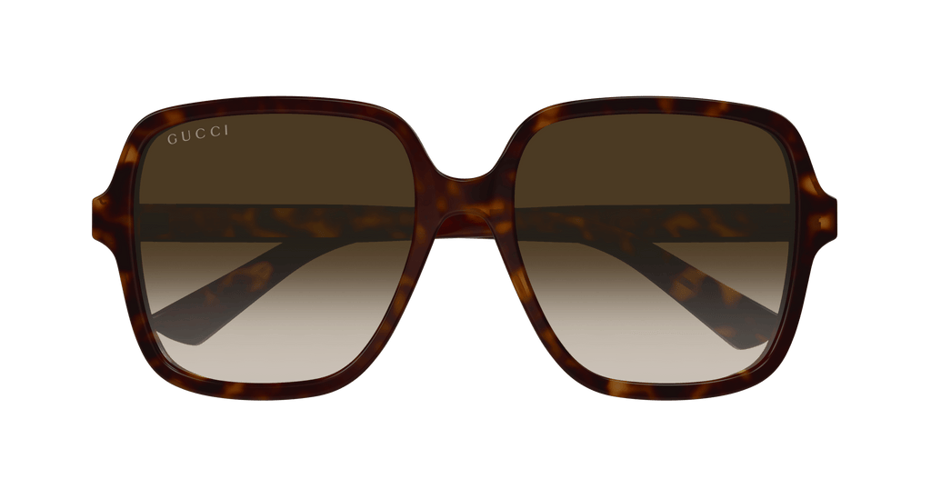 HAVANA / BROWN