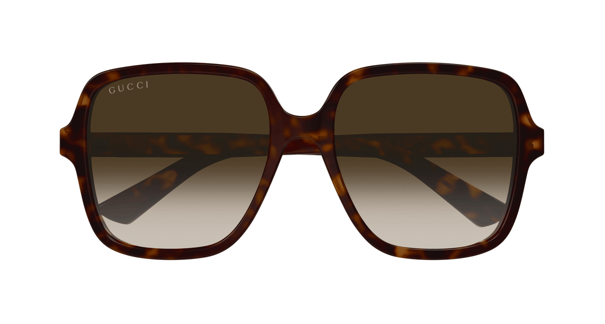 HAVANA / BROWN