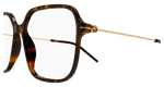 HAVANA / GOLD / TRANSPARENT