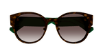 HAVANA / BROWN