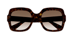 HAVANA / BROWN