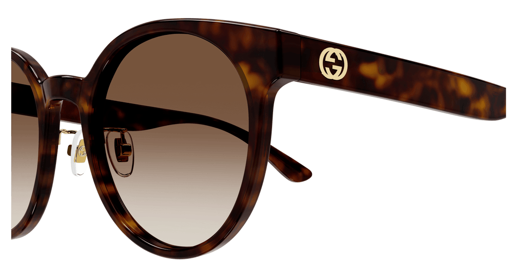 HAVANA / BROWN