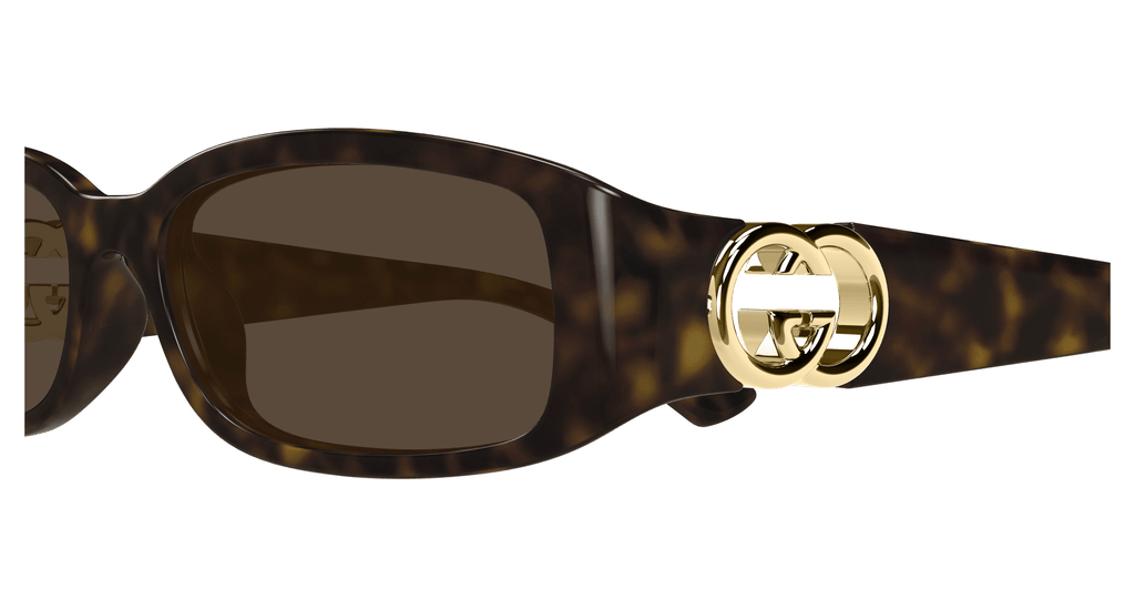 HAVANA / BROWN