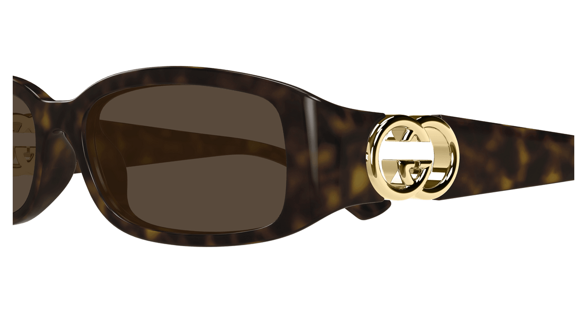 HAVANA / BROWN